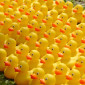 Gemeindefest - die Enten machen sich bereit zum Start