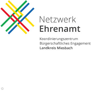 netzwerk ehrenamt