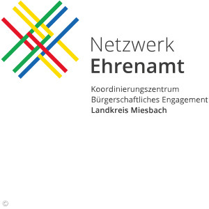 netzwerk ehrenamt